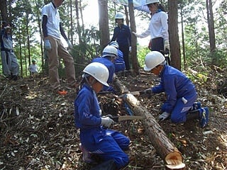 手ノコ作業、腕がだるくなります。