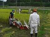 バインダー作業にも挑戦、上手いものです。