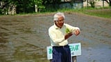 植え方の指導、景山さんです。