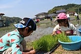 子供たちも苗の準備手伝い