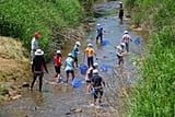 川に入って生き物を捕まえます。