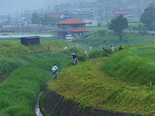 沢山の参加者、一気に刈りとれます。