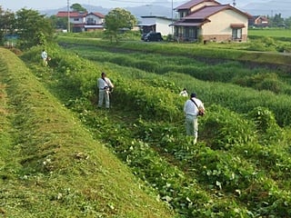 しっかりと間隔を空けて作業です。